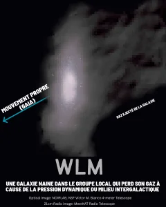 WLM, a dwarf galaxy shaped by the intergalactic medium