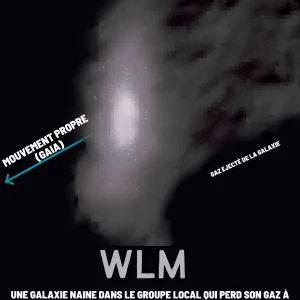 WLM, une galaxie naine façonnée par le milieu intergalactique